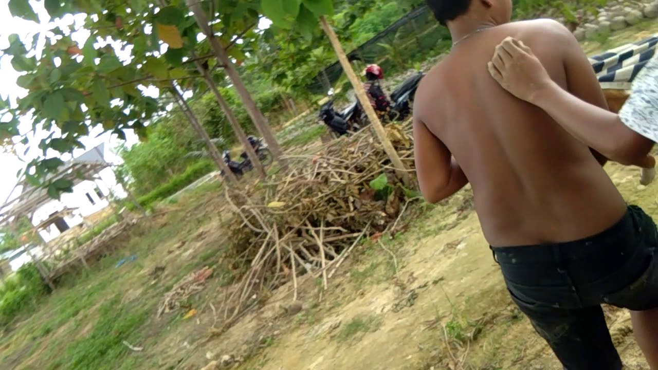 Mandiin anjing.😁 - YouTube