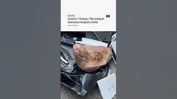 Kantor Tempo Mendapat Kiriman Kepala Babi
