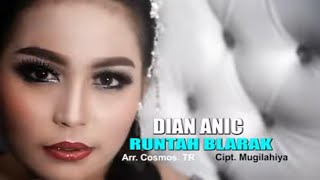 Dian Anic - Runtah Blarak (VCD KARAOKE HD)