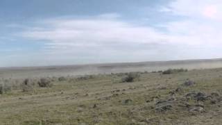 2016 DESERT 100 start