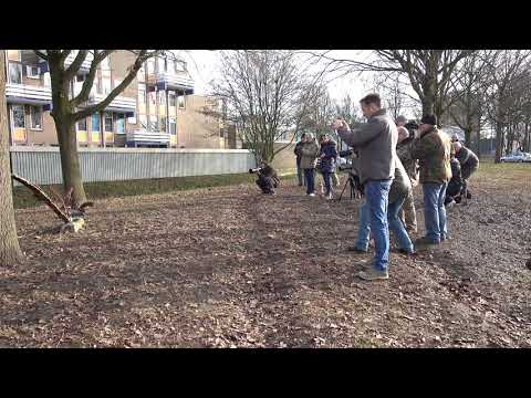 Notenkraker Wageningen