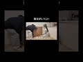 表おもとぅ