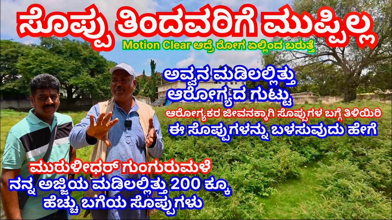 ಅಜ್ಜಿಯ ಮಡಿಲಲ್ಲಿತ್ತು ಆರೋಗ್ಯದ ಗುಟ್ಟು, 200 ಕ್ಕೂ ಹೆಚ್ಚು ಬಗೆಯ ಸೊಪ್ಪುಗಳು ಈ ಸೊಪ್ಪುಗಳನ್ನು ಬಳಸುವುದು ಹೇಗೆ?