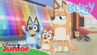 🍕 A Trip to the Store | Bluey | Disney Junior UK