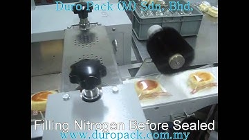 Horizontal Wrapping Machine with Nitrogen Filler