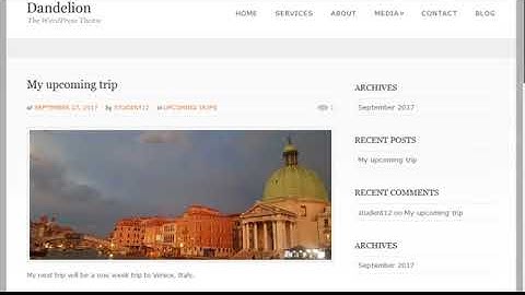 WordPress Widgets