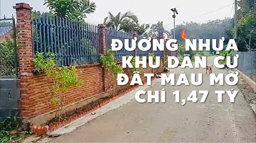 Kẹt tiền bán vườn trái cây xum xuê hơn 1 sào ở Xà Bang, Bà Rịa Vũng Tàu (ĐÃ BÁN)