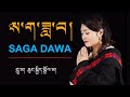 2020 tibetan song saga dawa by chungkyi dolma