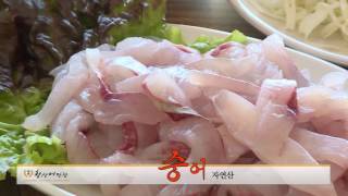 강화도 황산도어판장 활어회 동영상
