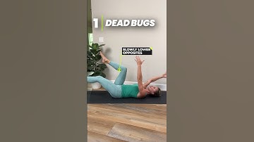 Are Bridges & Dead Bugs the BEST Core Exercises?