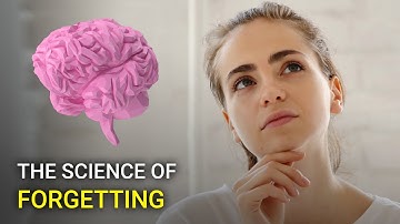 Why do humans forget things?