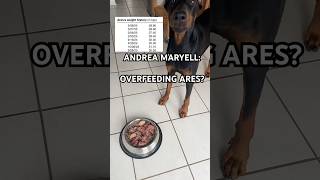 I Think We Have To Post This Video After Every Few Feedings Yall