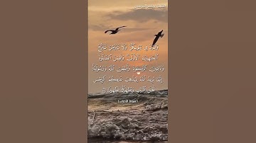 سورة الاحزاب من آية 33  إلى آية 34 بصوت الشيخ ياسر الدوسري♥♥