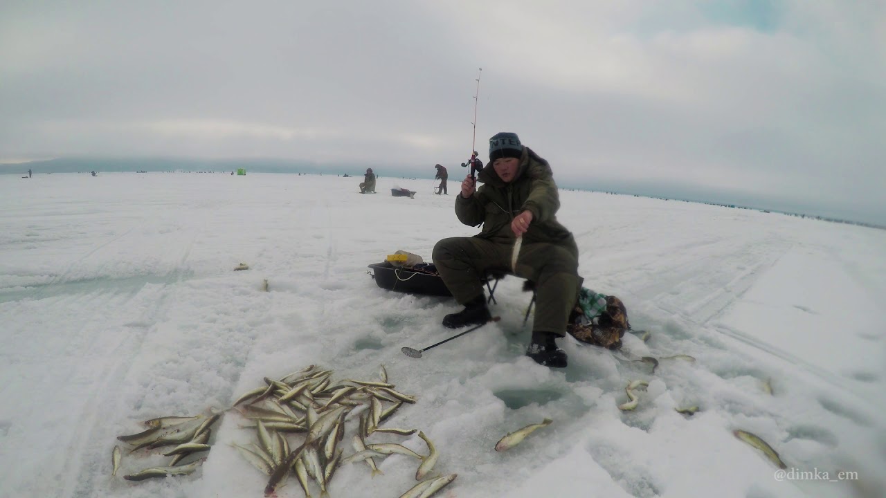 зимняя рыбалка на севере сахалина видео