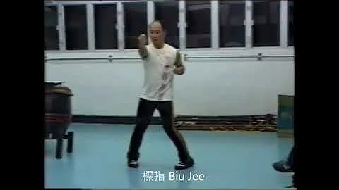 Ho Kam Ming - Liu Ming Fai (All 3 Wing Chun Hand F...