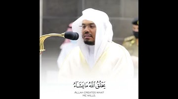 آية (45) من سورة النور
