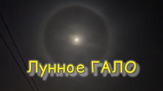 Редкое явление в Калининграде - Лунное ГАЛО -  15 января 2022 !#гало#калининград