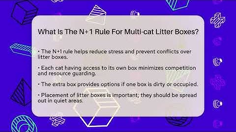 What Is The N+1 Rule For Multi-cat Litter Boxes? - Happy Cat Handbook