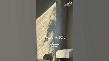 ﴿للذين أحسنوا الحسنى وزيادة ...﴾ [يونس:٢٦] || القارئ أحمد النفيس