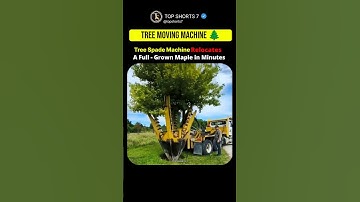 🌳 This Machine Can Move a Giant Tree in Just Minutes! 🤖💪 | Smartest Eco-Innovation of 2025