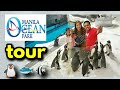 MANILA OCEAN PARK TOUR 2019 | Family vlog