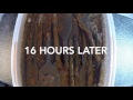 Time Lapse - Watching rust fall off using vinegar