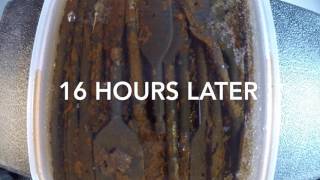 Time Lapse  Watching rust fall off using vinegar