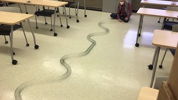 Standing waves with a slinky