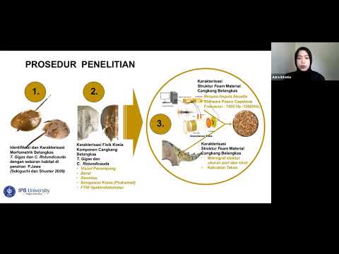 Video: Manakah dari berikut ini yang terjadi dengan adanya tetrodotoxin?