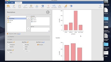 frequency distribution by Jamovi
