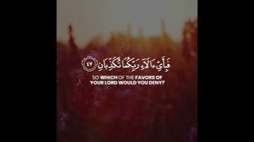 تلاوة من سورة الرحمن حالات واتس اب قرآن القارئ ماهر المعيقلي|| حالات واتساب قرآن || ارح سمعك