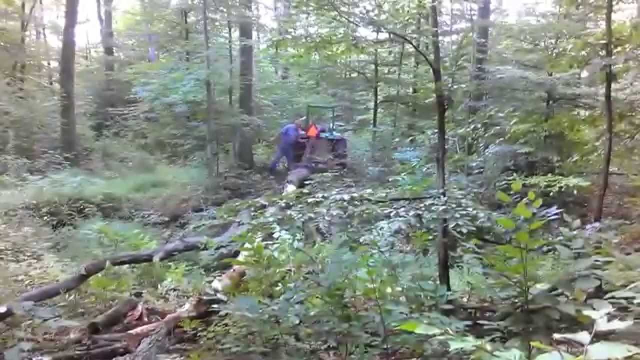 Skidding out some firewood