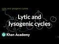 Virus Replication Mechanisms: Lytic and Lysogenic Cycles Explained