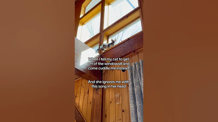 Watch the video about #sphynx #sphynxcat #catsoftiktok #cat #hairlesscat #lucillebald