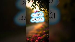 Dil Toot Jaye To Allah Se Baat Karo | Heart Touching Islamic Reminder #noorverse #islamicshorts