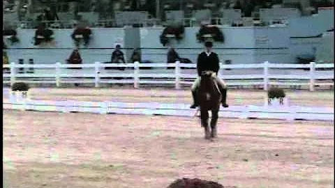 Dressage_at_Devo...