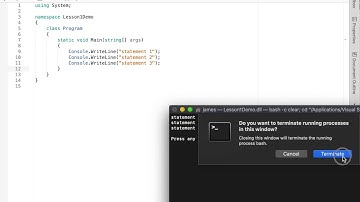 C# Visual Studio Debug Mode