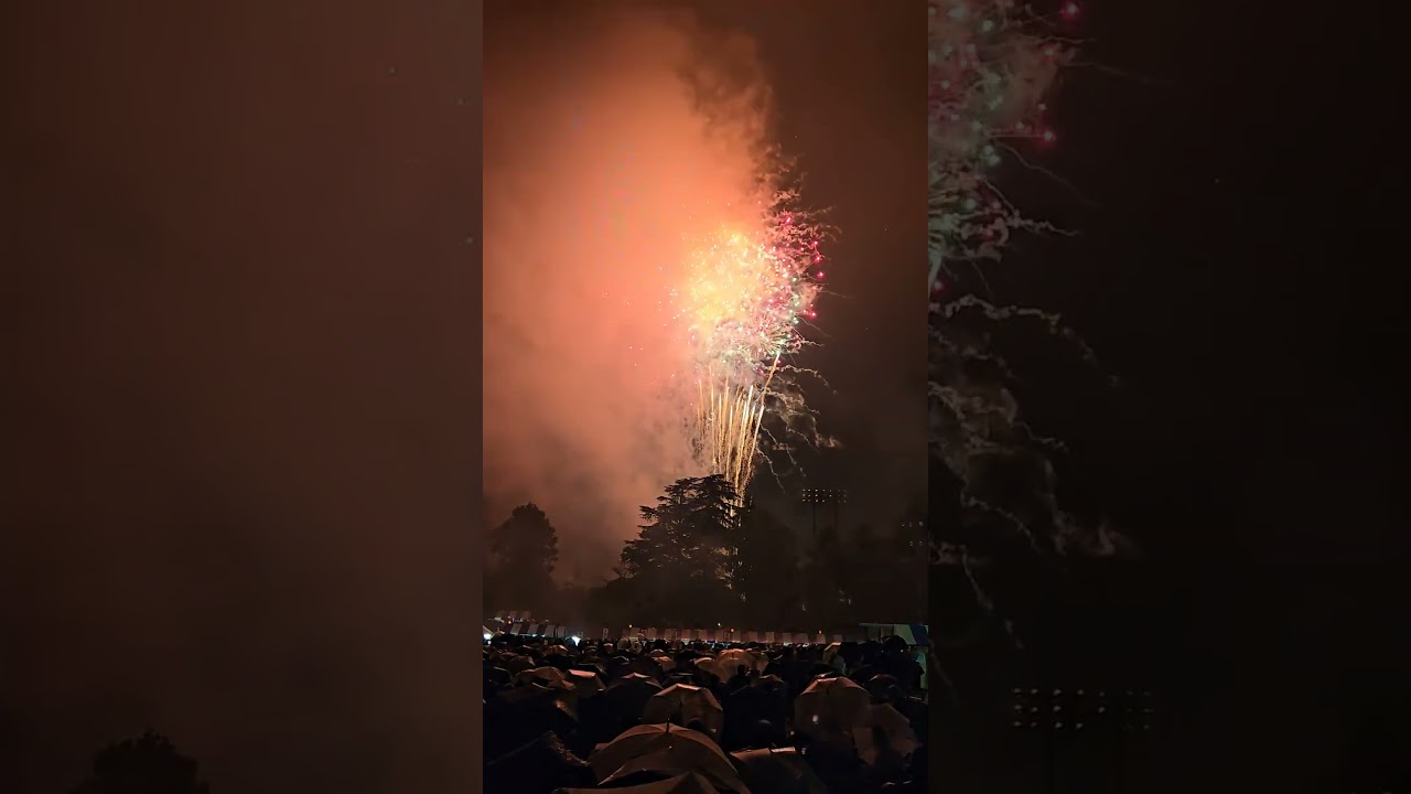 ★711★ 夏くじら 花火 ☆711☆ 夏くじら 花火