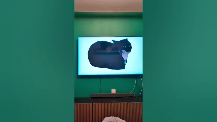 Watch the video about #kitten #sleeping #cute cat #funnyvideo #funnycat #catvideos #foryou #fyp #fypyoutube #Kitty #funny