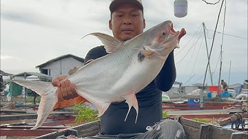 Mồi câu cá dồ đém #fishing #caucathugian 