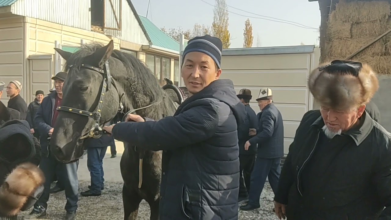 ЧЕТТЕ ЖУРГОН АЙЫЛДАШТАРДЫН СУРООСУ БОЮНЧА