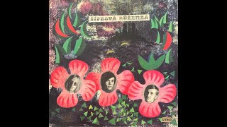 Video thumbnail of "The Rebels - Šípková Růženka (25.9.1968)"