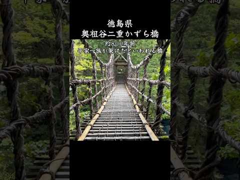 徳島県の秘境 奥祖谷二重かずら橋 #shorts #秘境 #絶景 #癒し
