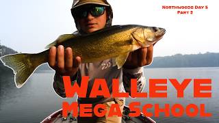 We Found A Mega School Of Walleyes