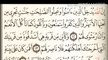 سورة محمد من آية ( ١٢ ) إلى آية ( ١٩ ) للقارئ : ماهر المعيقلي .