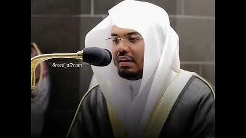 " كلا إذا بلغت التراقي " تلاوة خاشعة للشيخ د. ياسر الدوسري   ~  حالات واتس  |  Yasser Al-Dosari