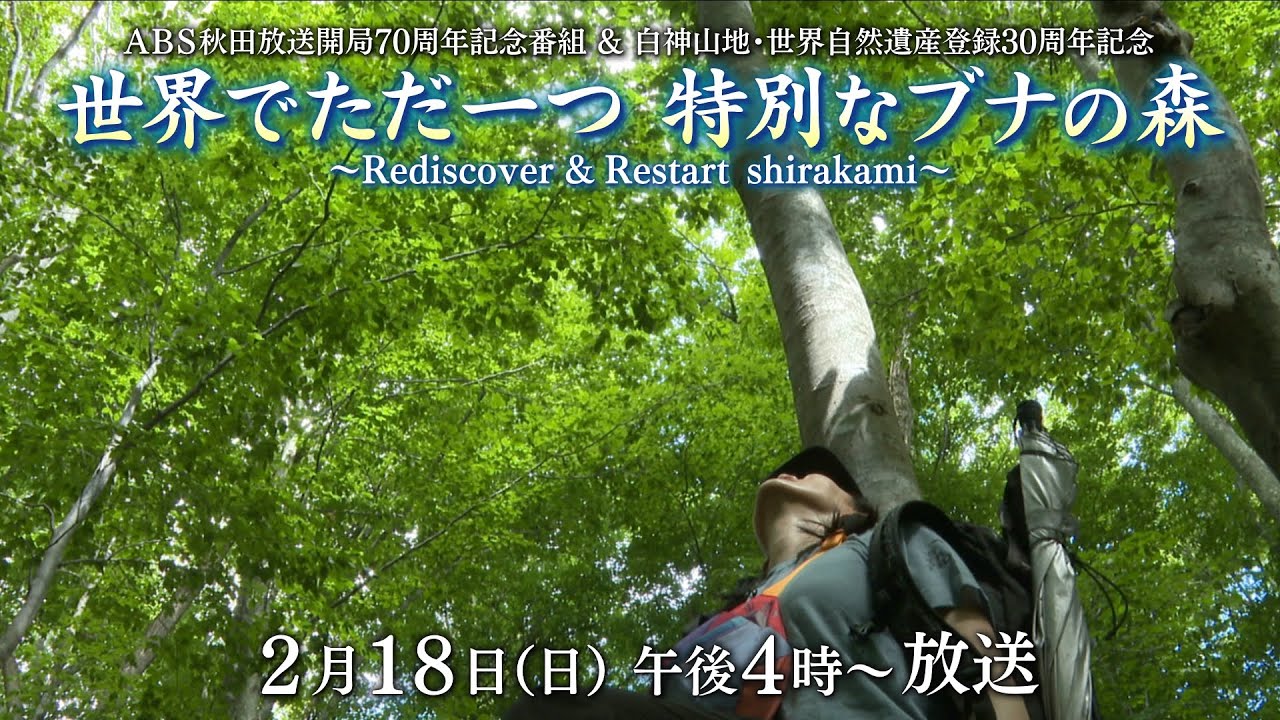 自然 RHシリーズ 4億年の神秘 2個入り 2/18 午後4時～午後4時55分 「白神山地・世界自然遺産登録30周年