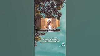 ceramah Habib Umar tentang wanita Akhir zaman