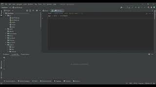 Age finder programme with python in pycharm screenshot 5