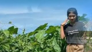 Gadis Kalimantan mencari sayur,tumbuhan liar keladi untuk di masak